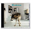 IMAGE | Grinderman 2 - CD - detail 1