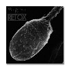IMAGE | Retox - Ugly Animals CD - detail 1